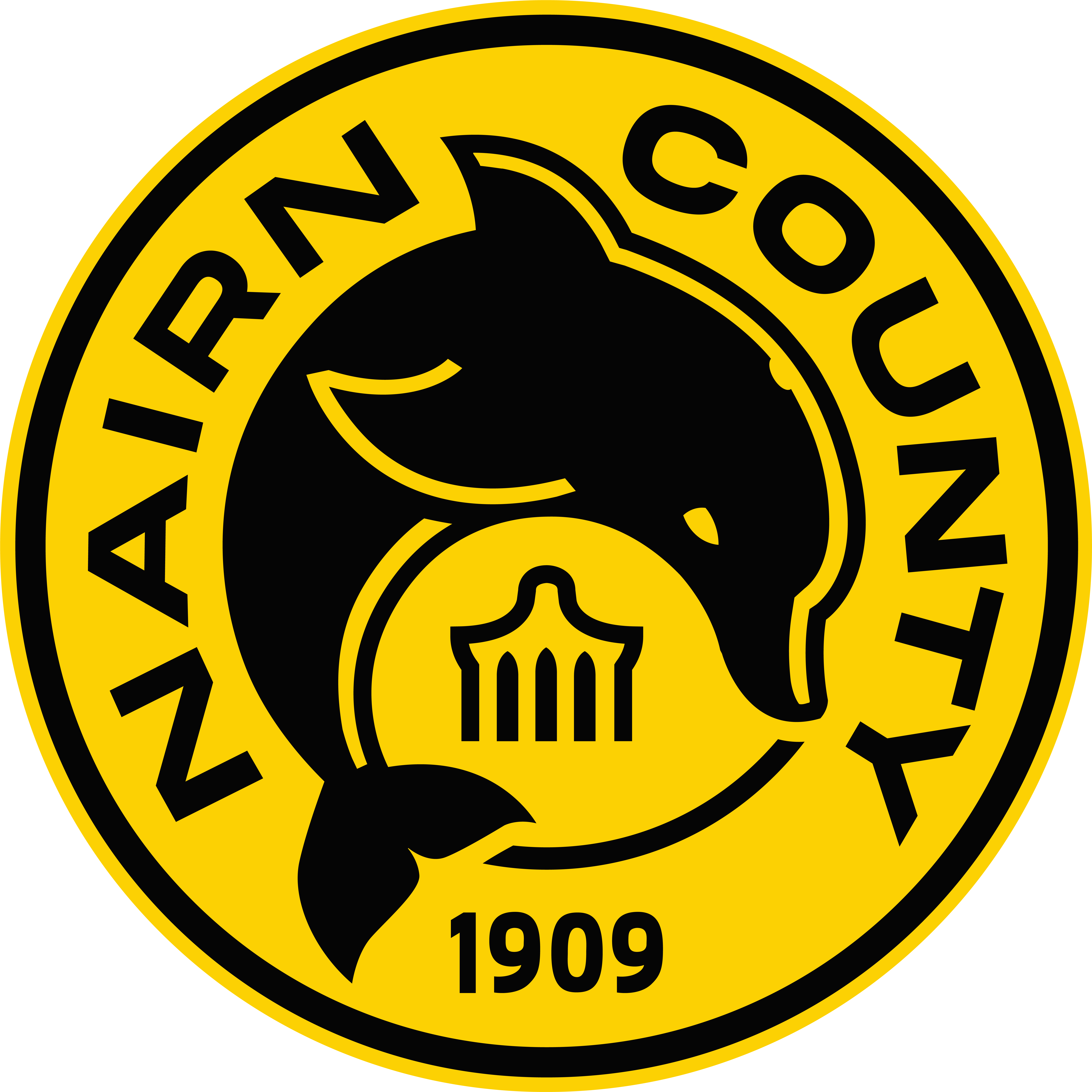 Nairn County crest