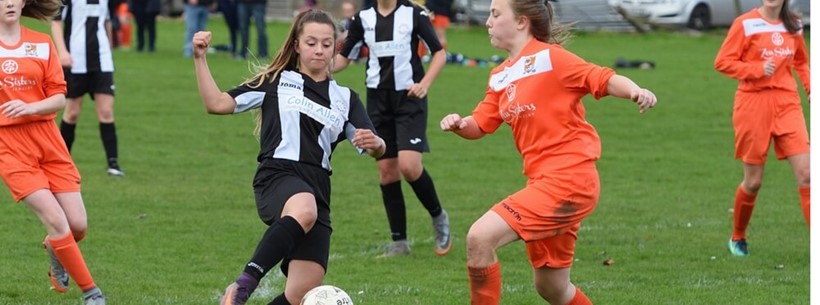Jeanfield Swifts