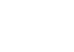 SSE